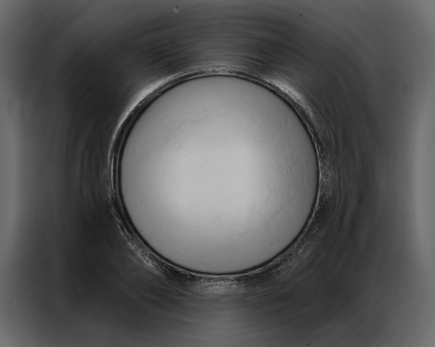 X0000086900886200705071241