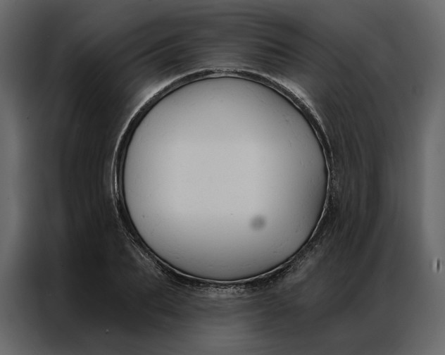 X0000086900887200705071241