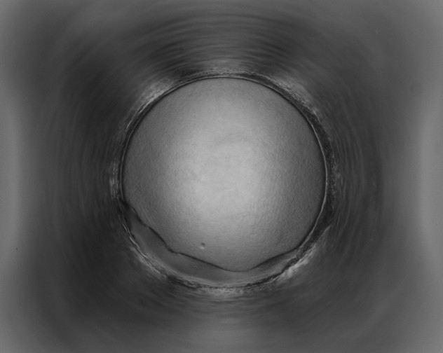 X0000086900889200705071241