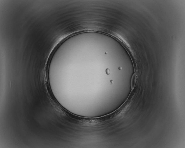 X0000086900891200705071241