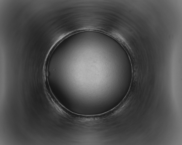 X0000086900892200705071241