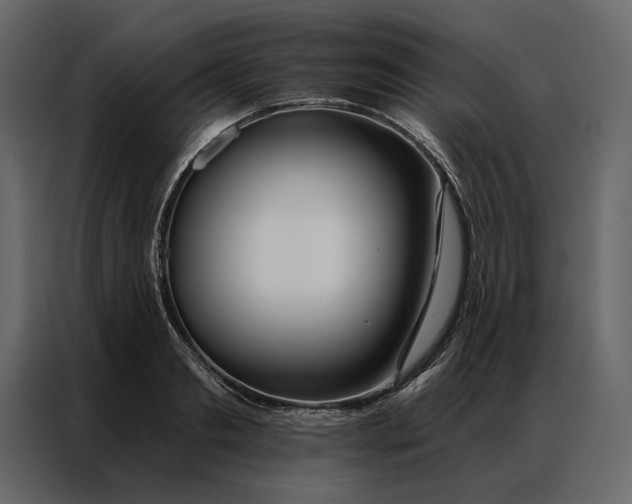 X0000086900893200705071241