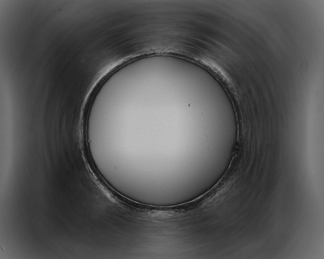 X0000086900894200705071241