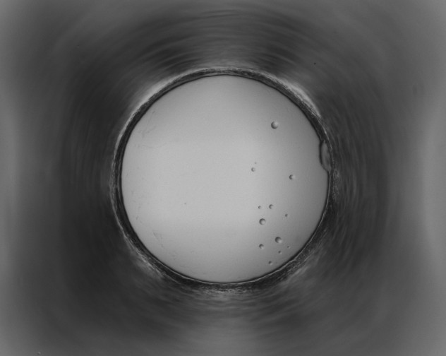 X0000086900895200705071241