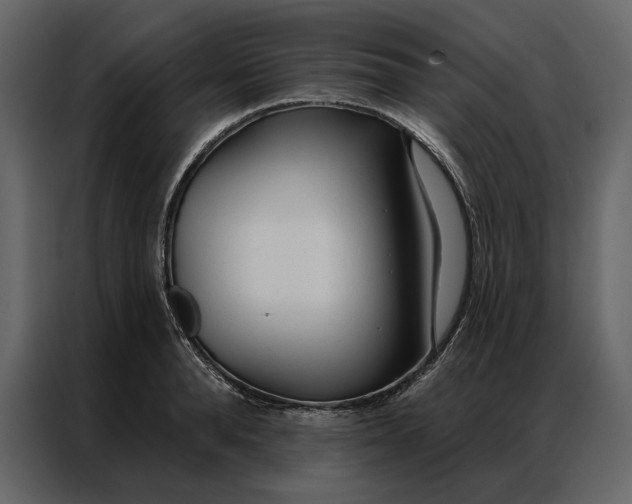 X0000086900896200705071241