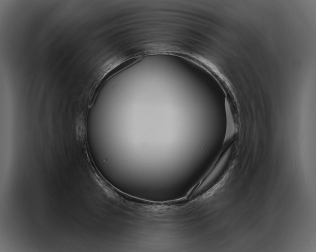 X0000086900897200705071241