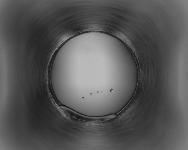 X0000086900898200705071241