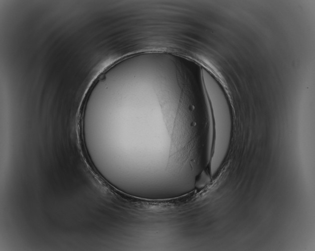 X0000086900899200705071241