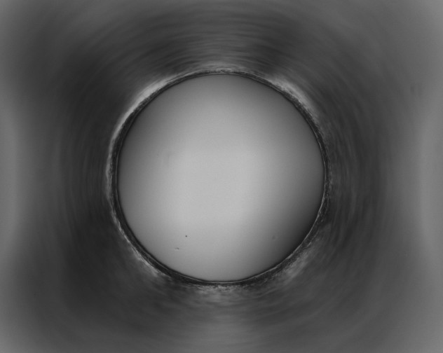 X0000086900902200705071241