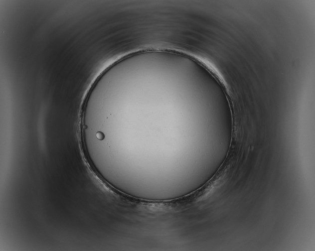 X0000086900903200705071241