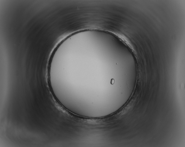 X0000086900904200705071241