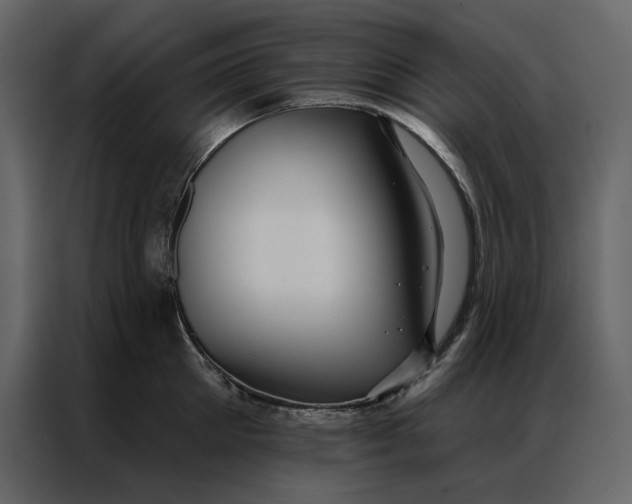 X0000086900905200705071241