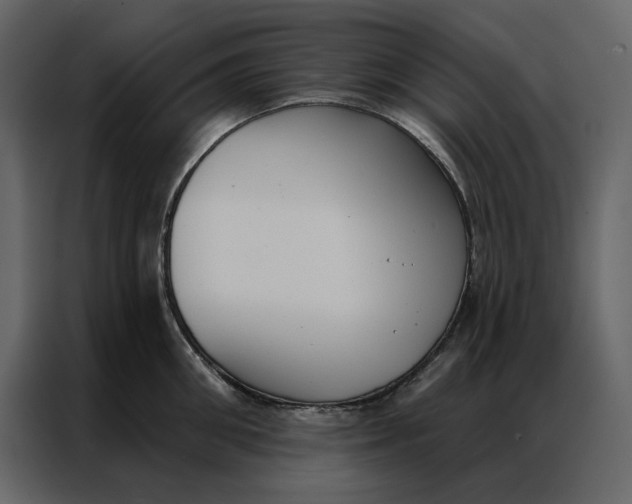 X0000086900906200705071241