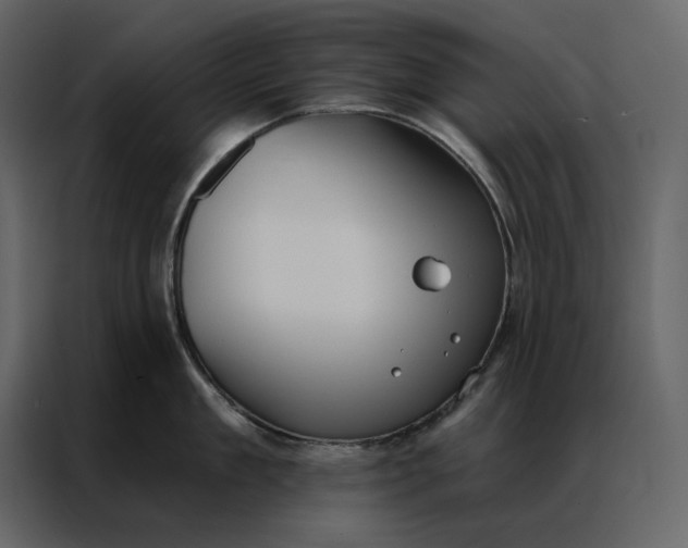 X0000086900909200705071241