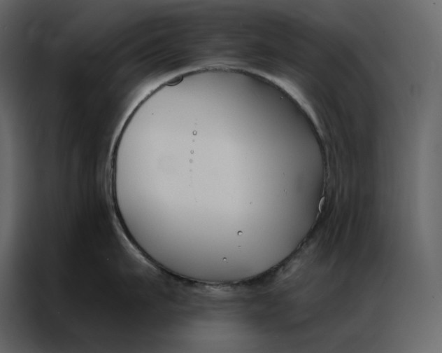 X0000086900911200705071241