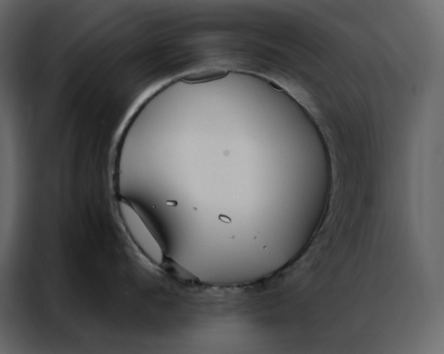 X0000086900912200705071241