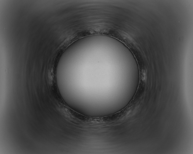 X0000086900915200705071240