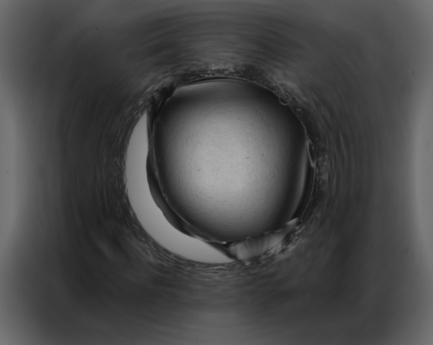 X0000086900916200705071240