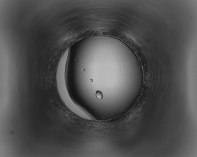 X0000086900917200705071240