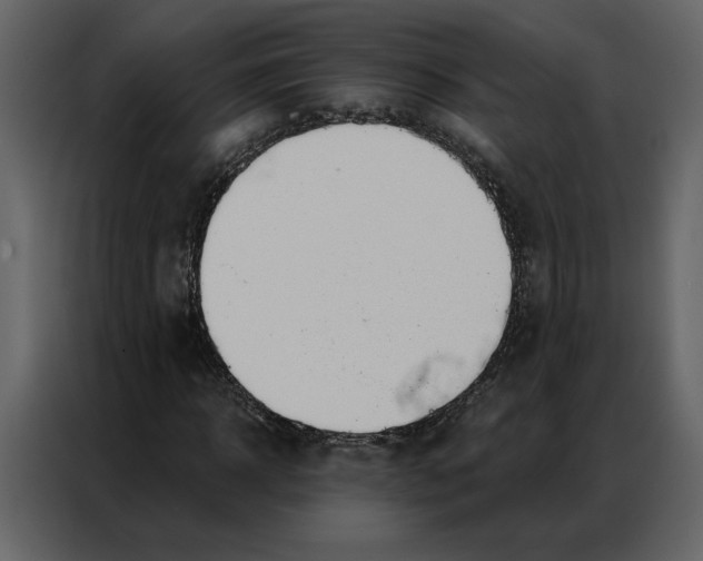 X0000086900918200705071240