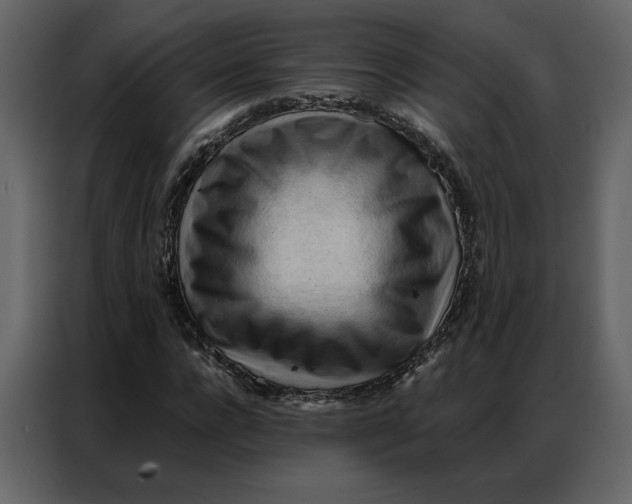 X0000086900920200705071240