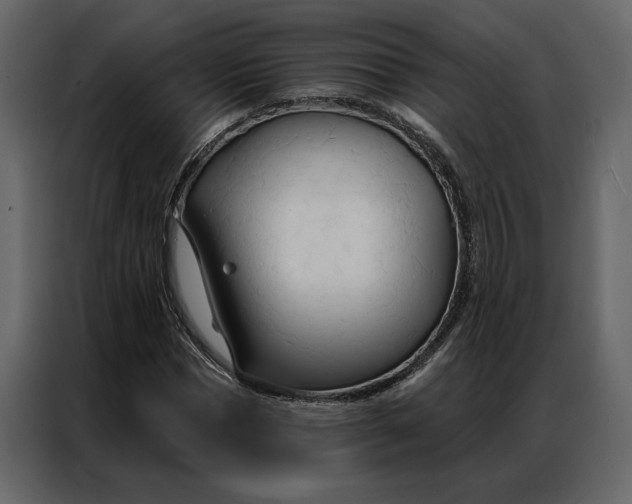 X0000086900921200705071240