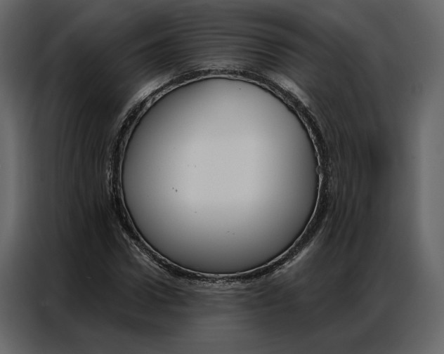 X0000086900922200705071240