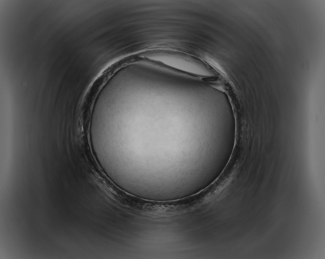 X0000086900923200705071240