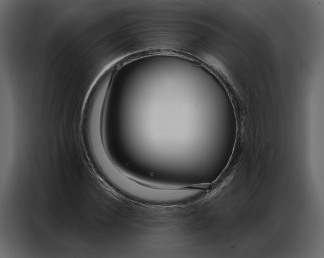 X0000086900924200705071240