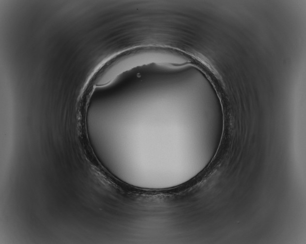 X0000086900926200705071240