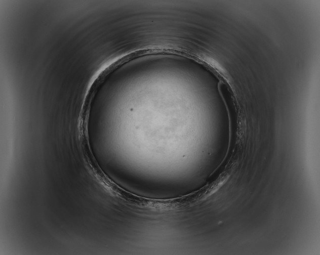 X0000086900928200705071240