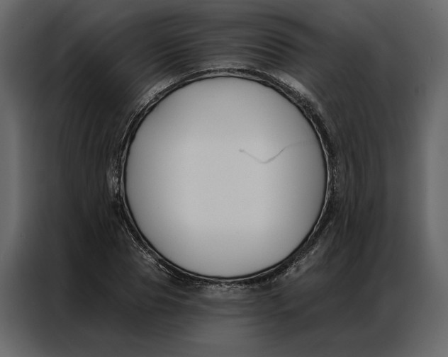 X0000086900929200705071240