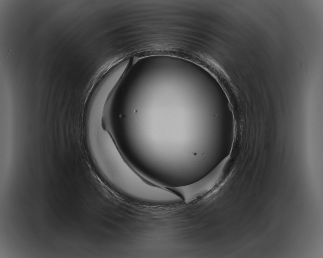 X0000086900930200705071240