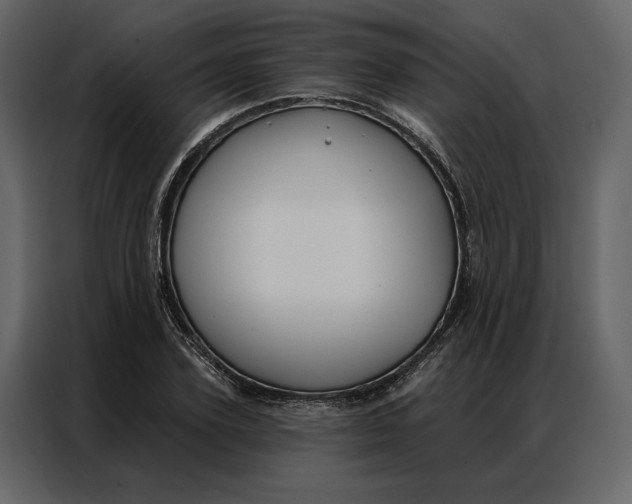 X0000086900931200705071240