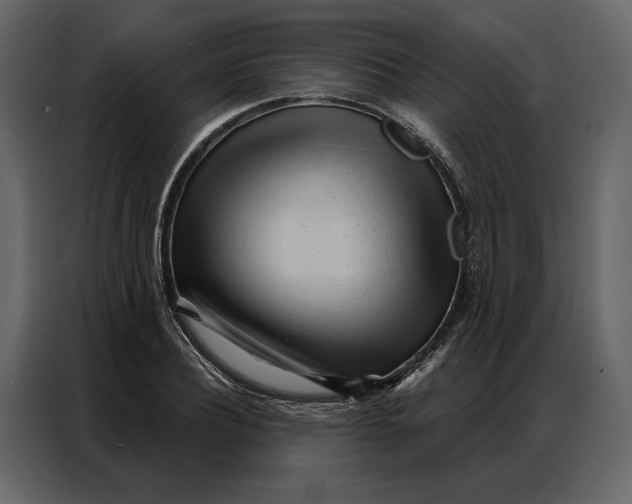 X0000086900932200705071240