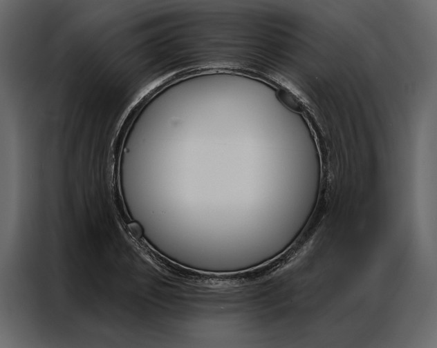 X0000086900933200705071240