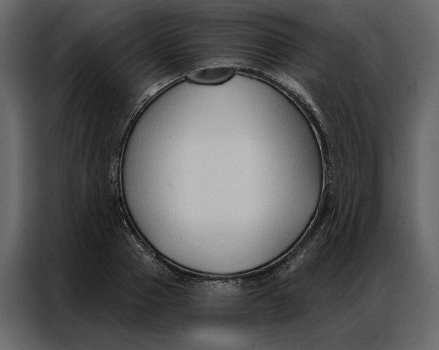 X0000086900937200705071240