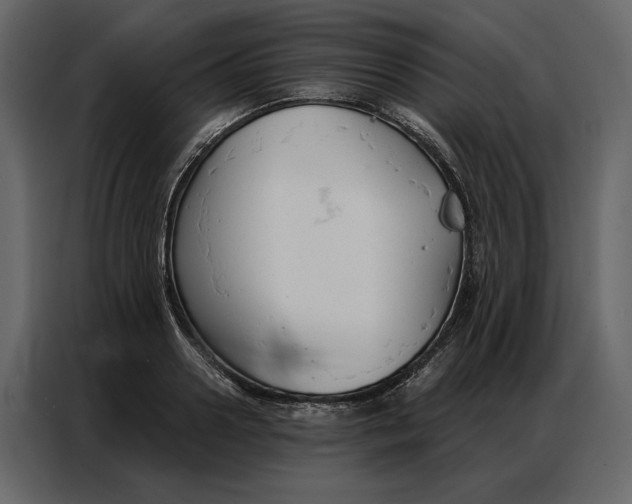 X0000086900938200705071240