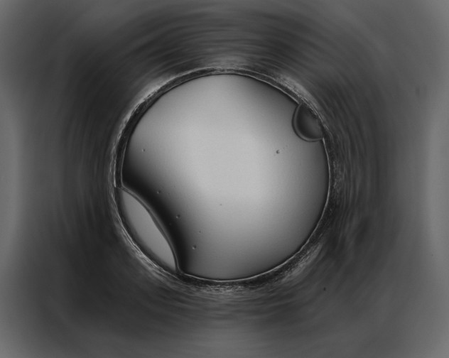 X0000086900939200705071240