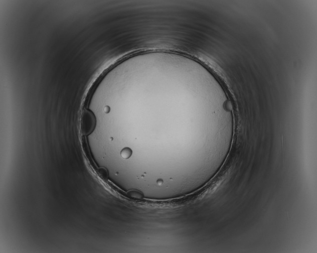 X0000086900941200705071240