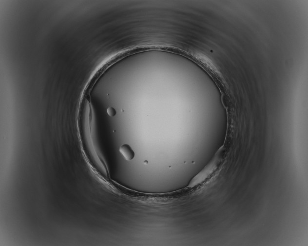 X0000086900942200705071240