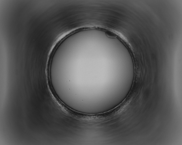 X0000086900943200705071240