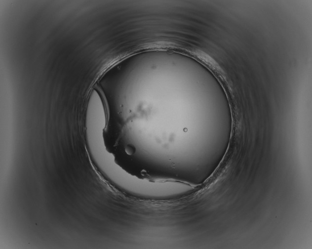 X0000086900945200705071240