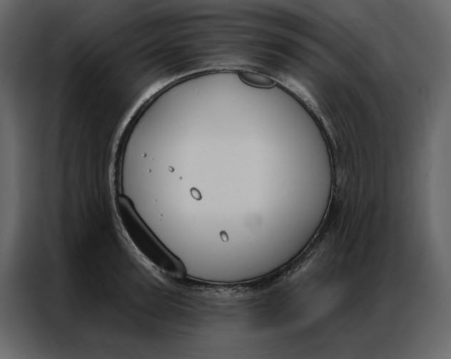 X0000086900947200705071240