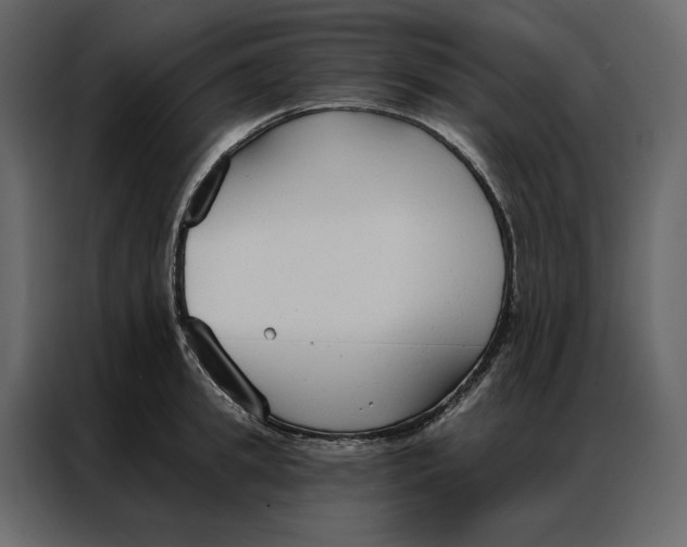 X0000086900949200705071240