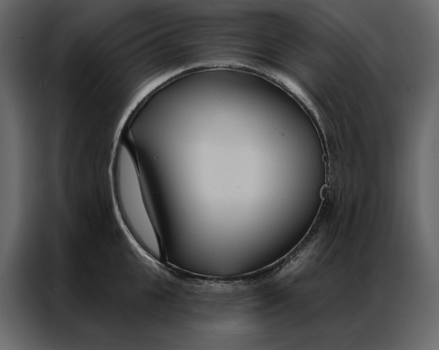 X0000086900951200705071240