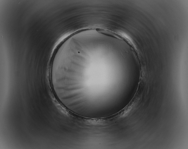 X0000086900952200705071240