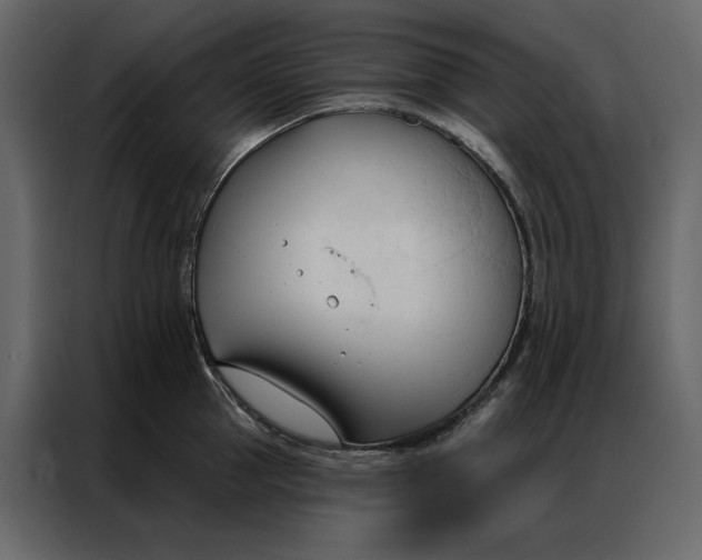 X0000086900953200705071241