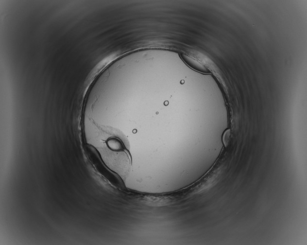 X0000086900954200705071241