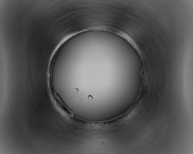 X0000086900955200705071241